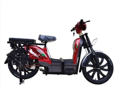 Big Battery Traditional Bike