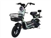Hydralic Absorber Steel Body Electric Bike