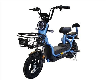 Tubeless 500W Powerful Electric Cycle