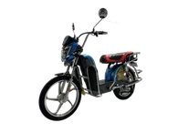 Classic Model Heavy Duty Cargo Electric-Bike