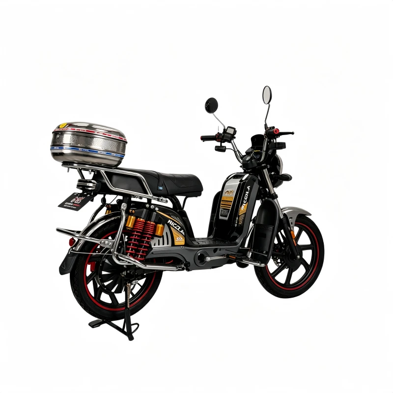 Sturdy Cargo Electric Bicycle Built For Urban Delivery And Country Routes suppliers