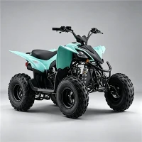125CC ATV 4 Wheeler for Youth & Beginners