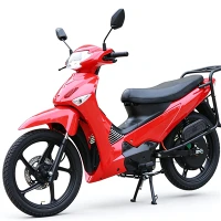 Curved Beam Electric Motorcycle Economic Factory Direct Sales